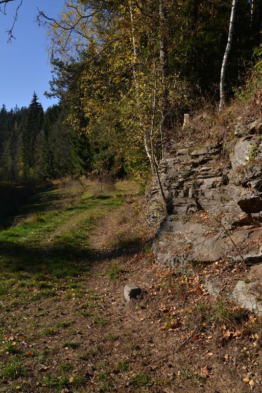 Pension Najdek Žďár nad Sázavou エクステリア 写真